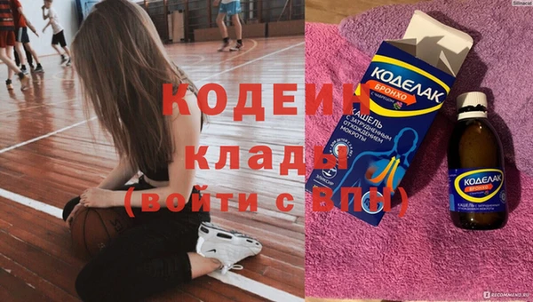 apvp Вяземский