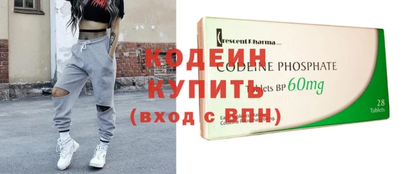 apvp Вяземский