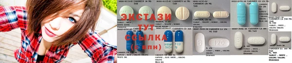 apvp Вяземский