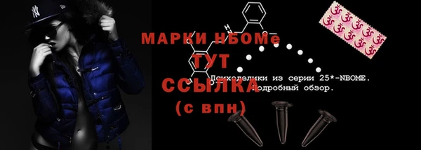 apvp Вяземский