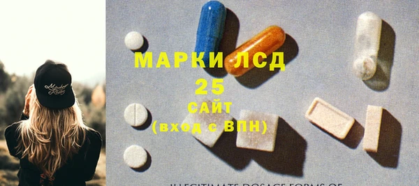 apvp Вяземский