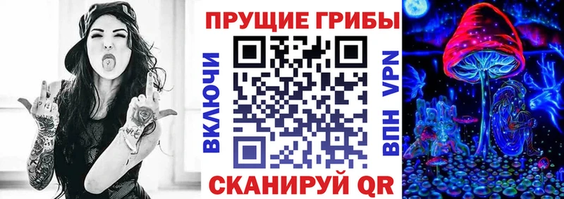 Псилоцибиновые грибы Psilocybine cubensis  Купить где  Кандалакша 
