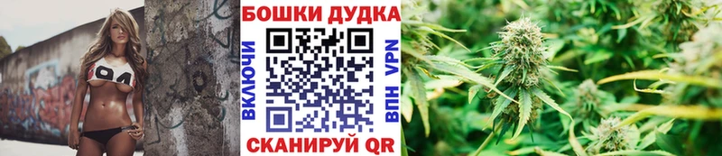 Бошки Шишки сатива  Купить закладки  Кандалакша 